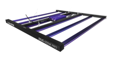 Why Cheap LED Grow Lights Are Changing the Game