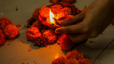 Marigold Flower Decor: Timeless Elegance for Every Celebration