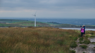 How Professional Power Plant Field Service Extends Equipment Life