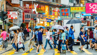 Exploring the Rich Culture with History Tour Hong Kong