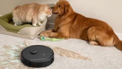 Can a Robot Vacuum Replace Manual Cleaning for Pet Fur?