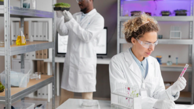 Choosing the Right Laboratory Equipment Supplier