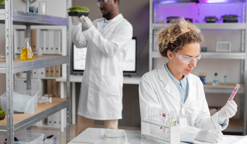 Choosing the Right Laboratory Equipment Supplier