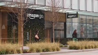Catalog Architecture: A Quiet Growth Lever for Amazon Brands
